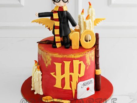 Harry Potter Figure Cake Sale