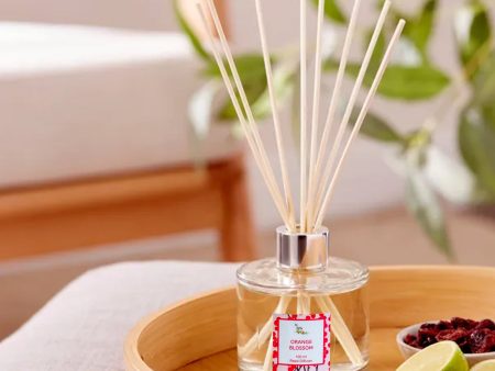 100ml Reed Diffuser Fragrance Hot on Sale