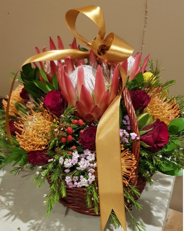 Protea mix basket Sale