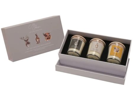 Meg Hawkins  Favourites  Set of 3 Mini Candles Fashion