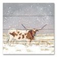 BAKE269PAL - Longhorn Holiday   - 12x12 Hot on Sale